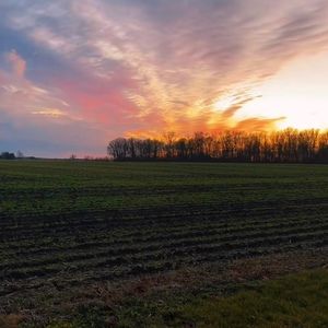 Meet your Posher, Cameryn